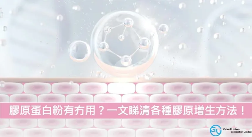 【膠原蛋白】膠原蛋白粉有冇用?一文睇清各種膠原增生方法!