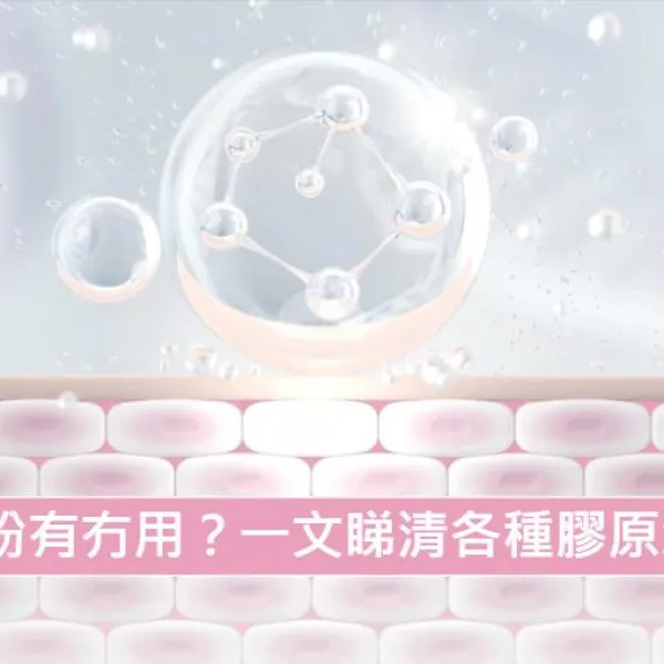 【膠原蛋白】膠原蛋白粉有冇用？一文睇清各種膠原增生方法！